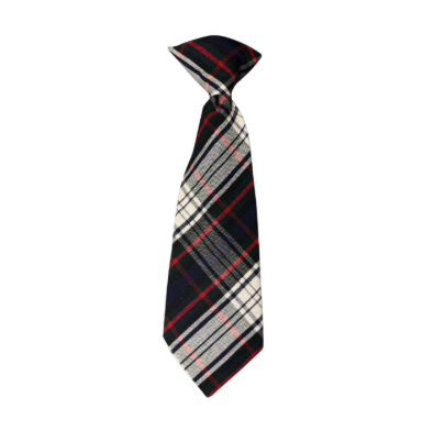49 Plaid Clip on Tie - Tanglewood Academy