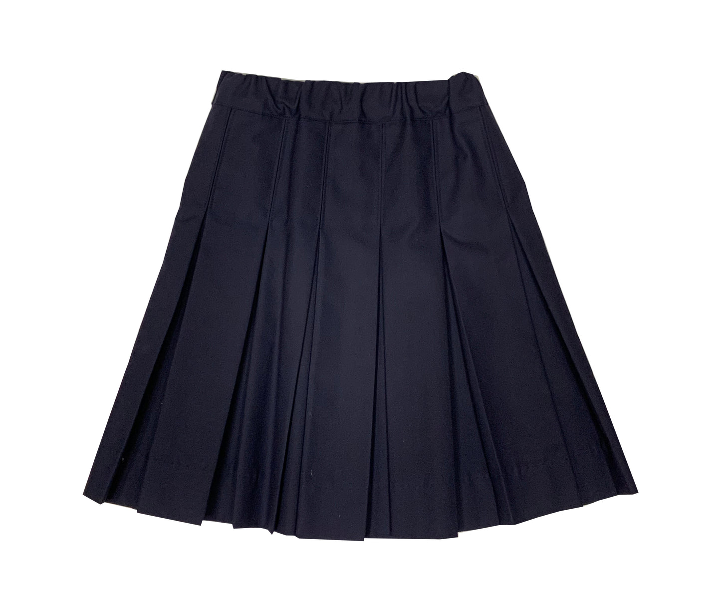 Navy All Around Pleat Skirt