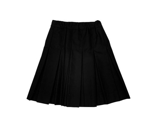 Black All Around Pleat Skirt - New Horizon